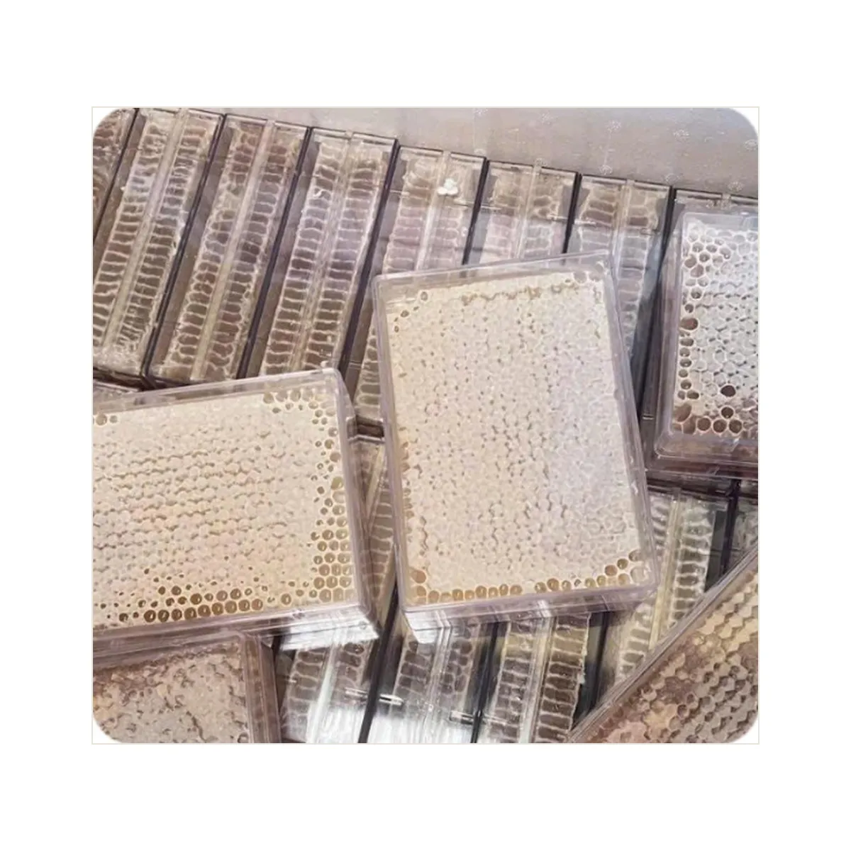 Mật Ong Bánh Tổ Nguyên Sáp Tự Nhiên CVD Beehoney Hộp 500g