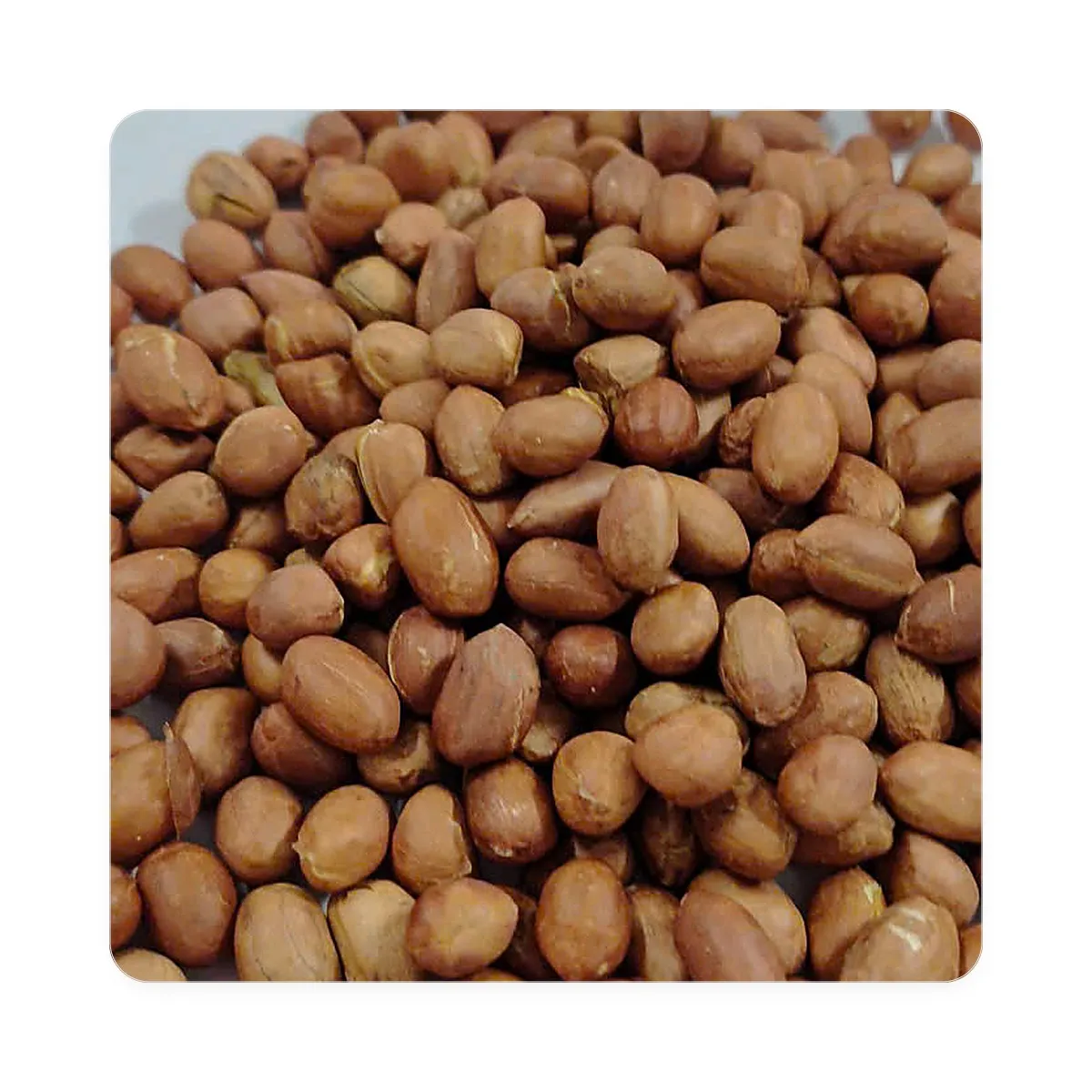 Đậu Phộng Rang Mộc Nguyên Vỏ Lụa Kim Long Túi Zip 250g