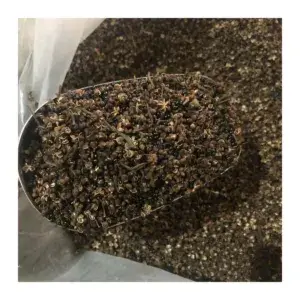 Hạt Mắc Khén Rừng Tây Bắc Nguyên Hạt Hộp 100g