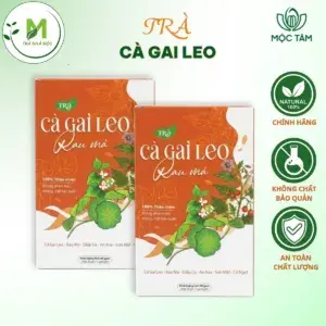 Trà Cà Gai Leo Túi Lọc Mộc Tâm- Hỗ Trợ Giải Độc, Thanh Nhiệt, Mát Gan, Cải Thiện Tiêu Hóa- Đẹp Da ( Hộp 30 túi x 3g)